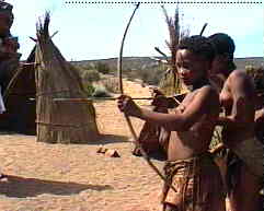 bushman