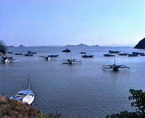 kalastusaluksia
