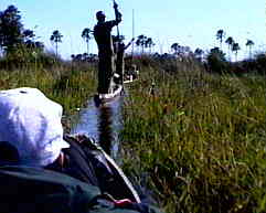 Okavango